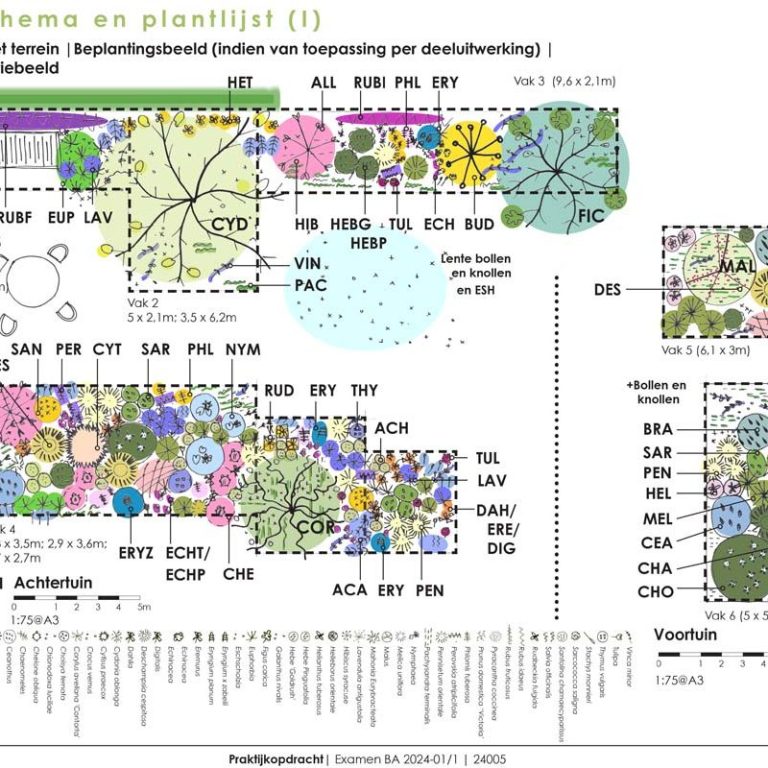 Conceptuele tuinontwerp met een hangmat en vaste planten.