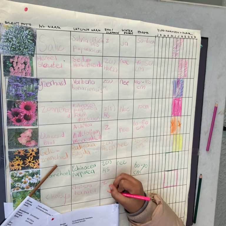 Plantkalendar