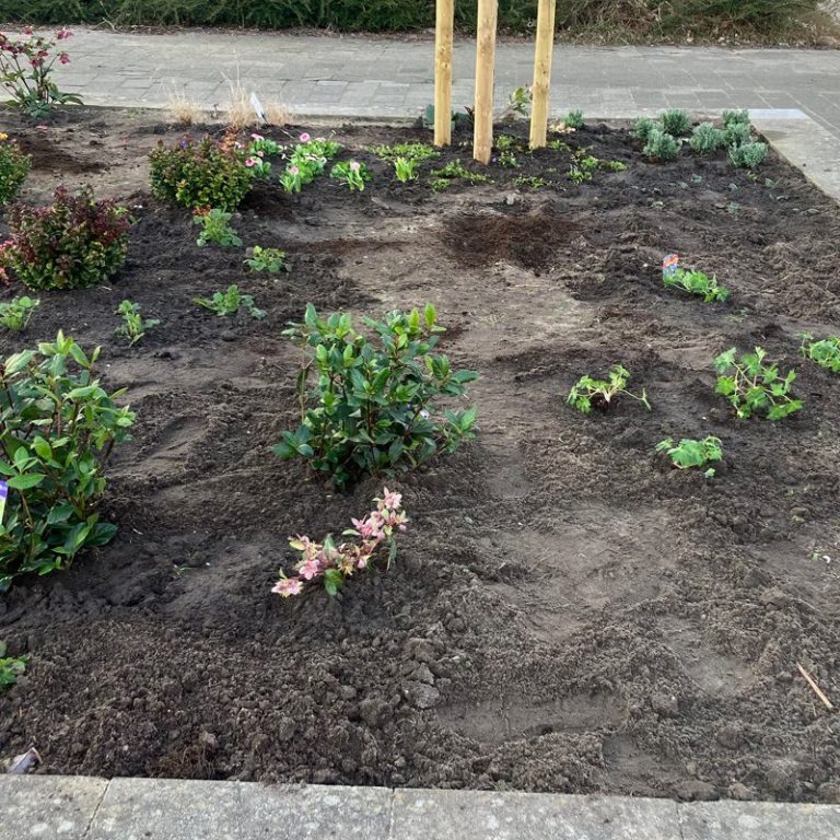 School les verfen met planten